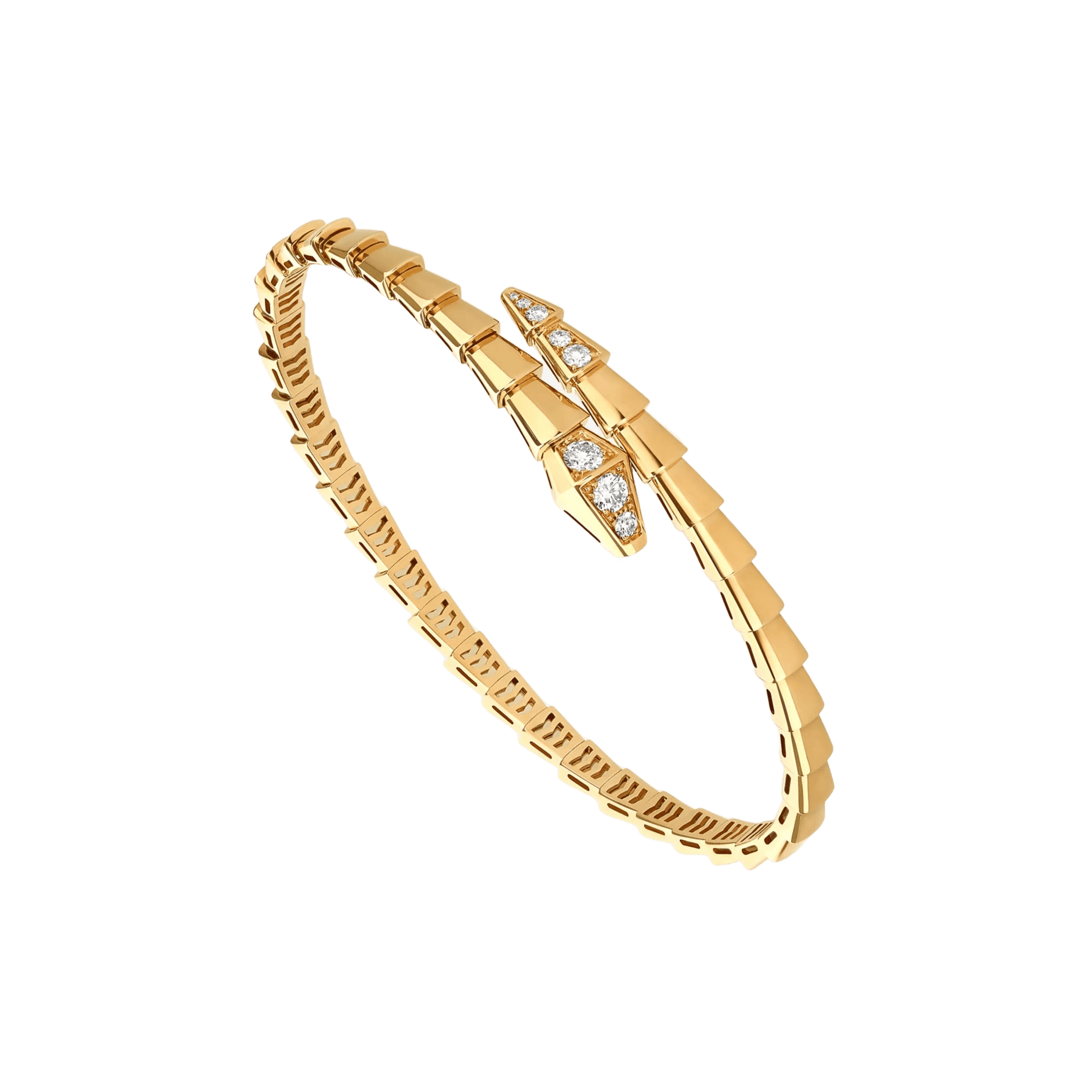 Timeless Serpenti Bracelet - Avara